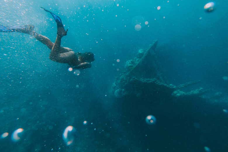 Praticando snorkel em Skeleton Wreck