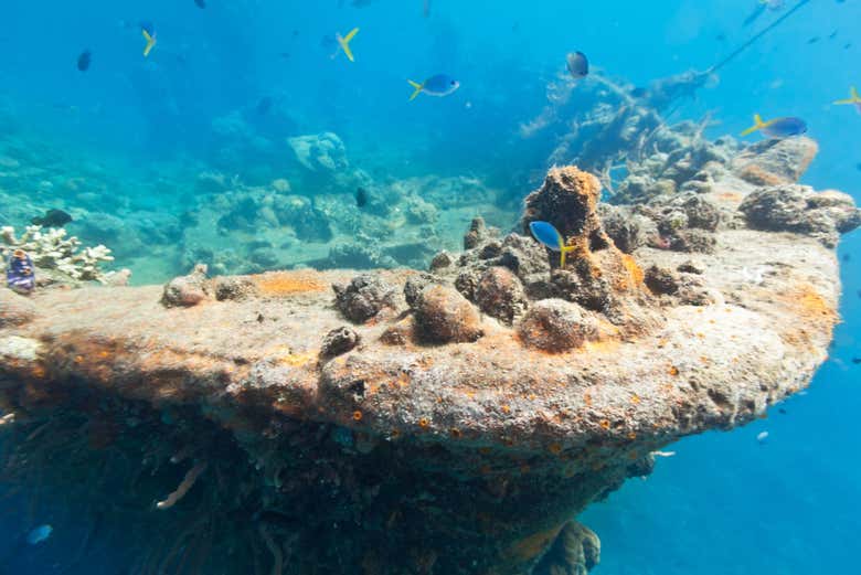 Lusong Gunboat Shipwreck em Lusong