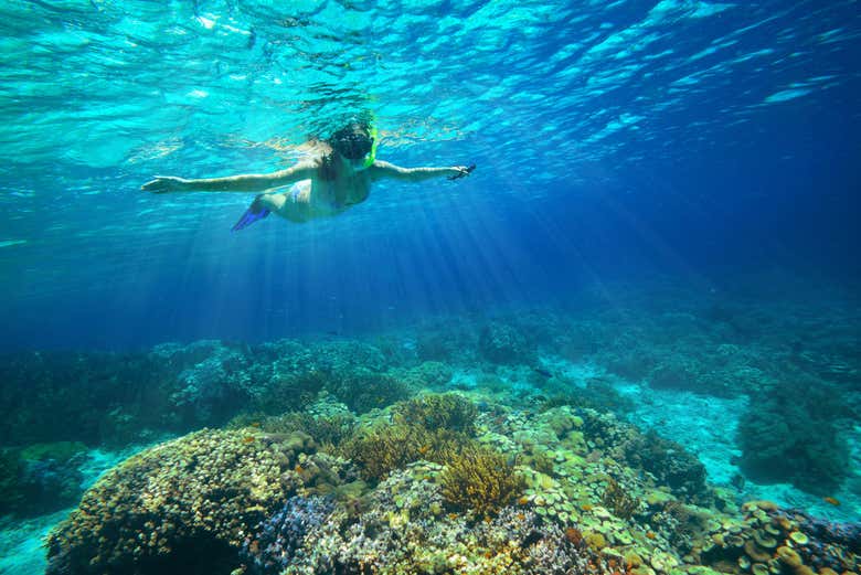 Faire du snorkeling