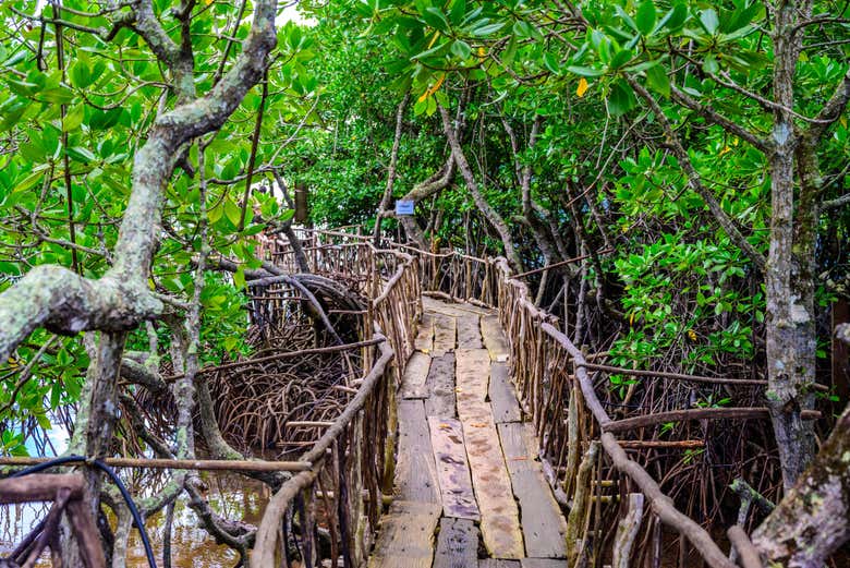 Ponte de madeira em Maquinit Hot Spring