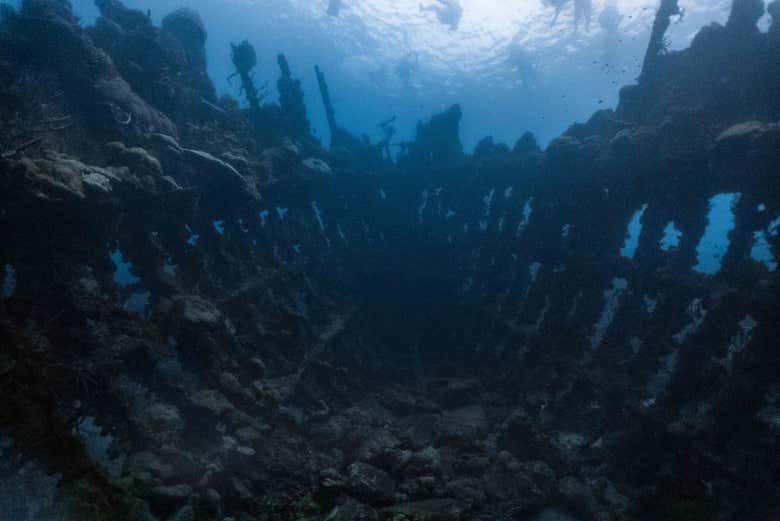 Skeleton Wreck