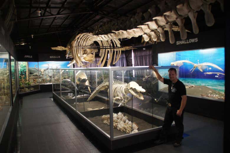 D' Bone Collector Museum