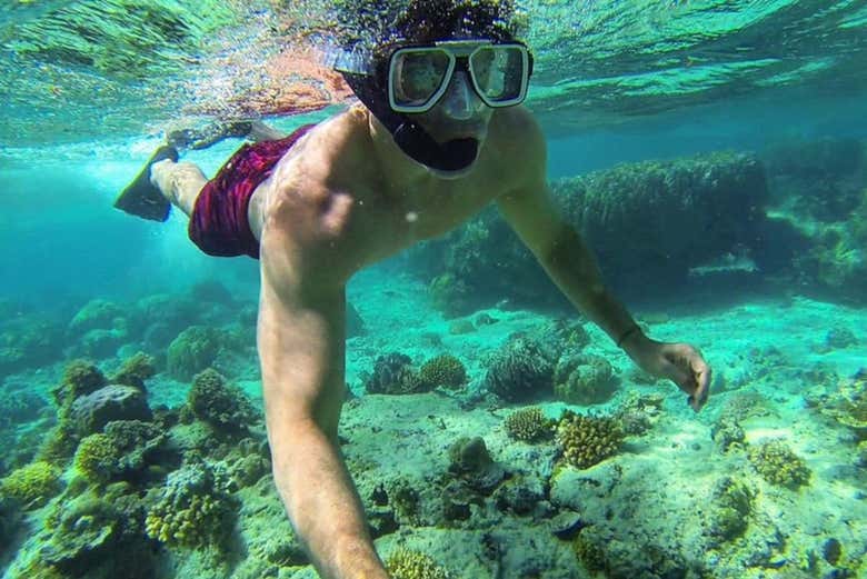 Practicando snorkel en la Isla de Shimizu