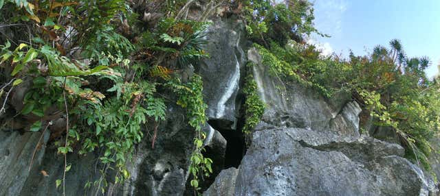 Balade en bateau dans les grottes d'El Nido