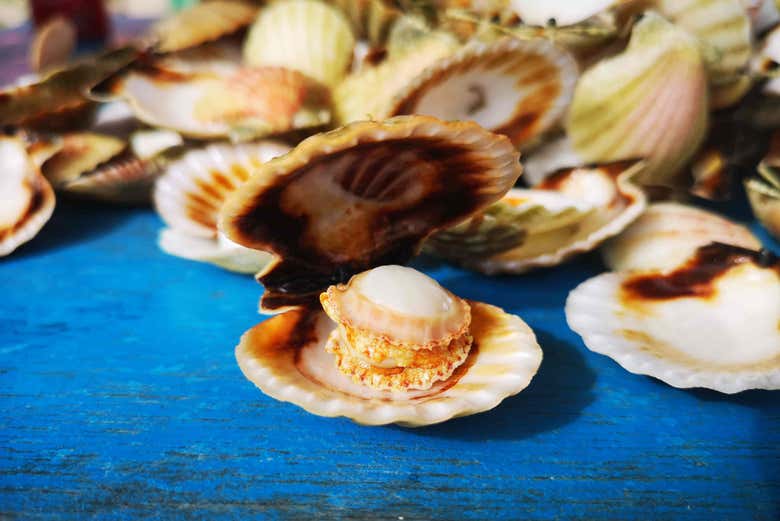 Scallops, a local favorite dish