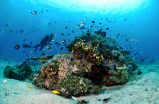 Malapascua Diving