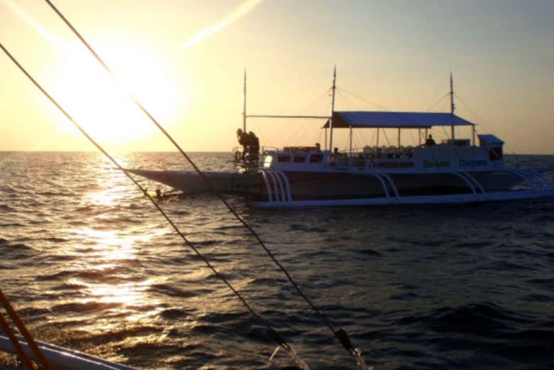 Boat for the activity