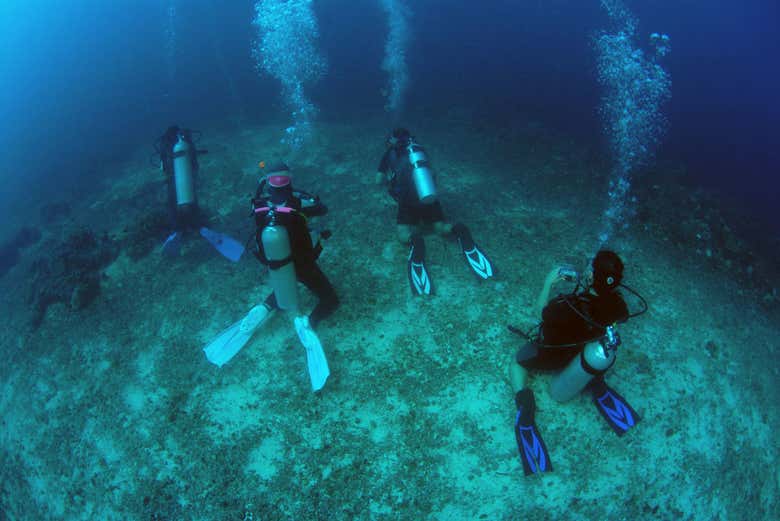 Diving in Malapascua