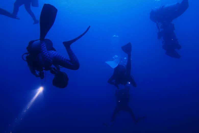 Night diving