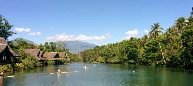 Excursión a la plantación Villa Escudero