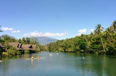 Excursión a la plantación Villa Escudero