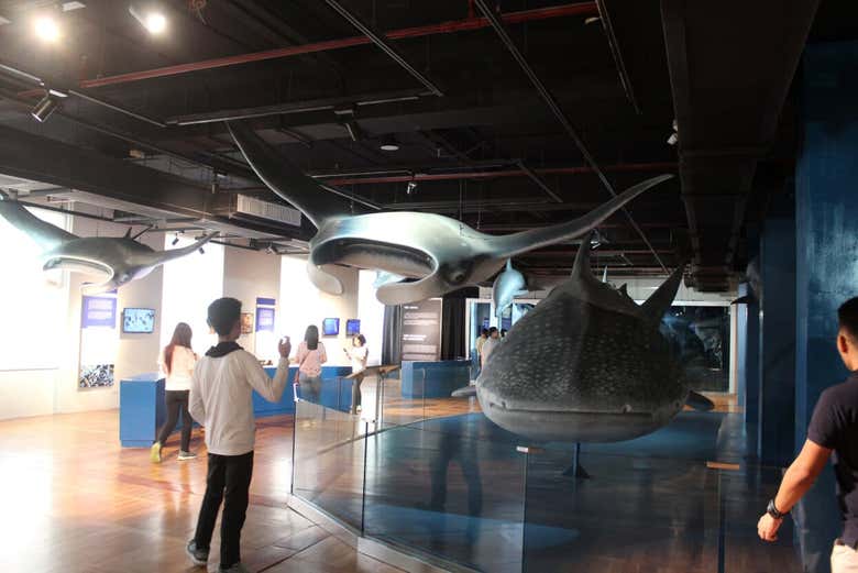 Natural History Museum