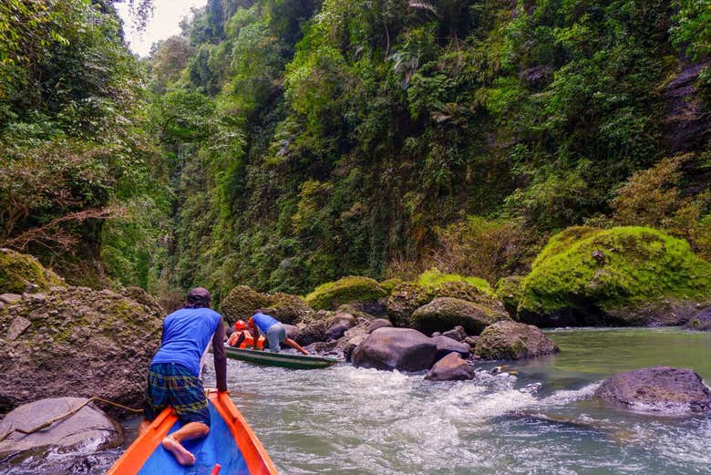 Discover landscapes filled with lush vegetation