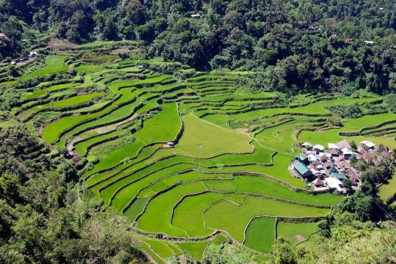 Terrenos de plantações