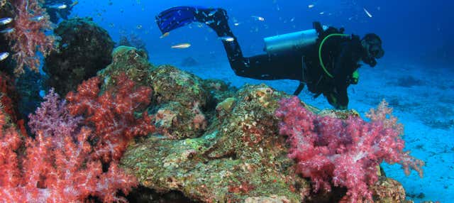 Bautismo de buceo en Moalboal