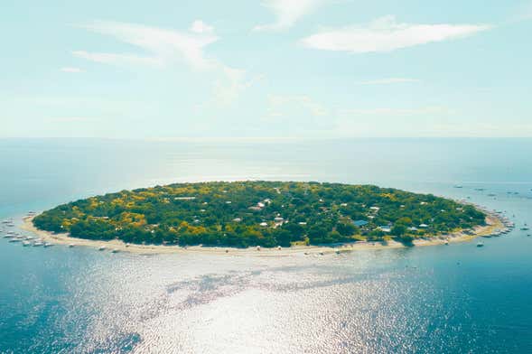 Escursione a Balicasag con avvistamento di delfini