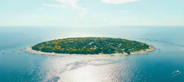 Excursión a Balicasag con avistamiento de delfines