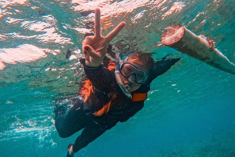 Explorando el colorido mundo submarino de Balicasag