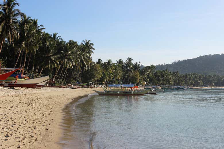 Barcos en Port Barton