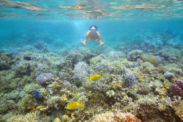 Practicando snorkel en Aquarium Reef