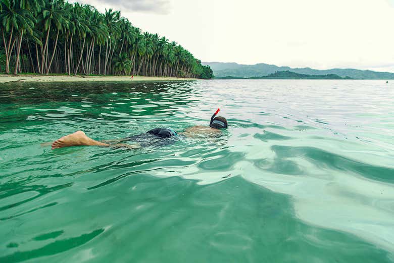 Practicando snorkel en las islas de Port Barton