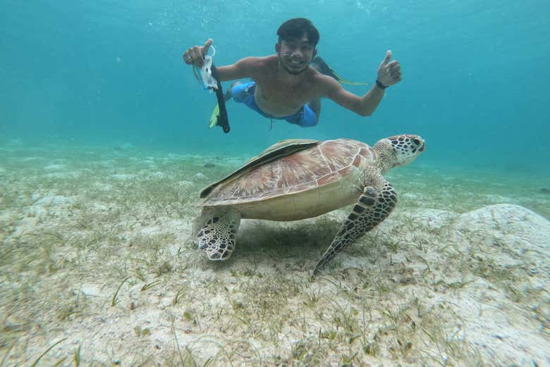 Faire de la plongée avec une tortue de mer