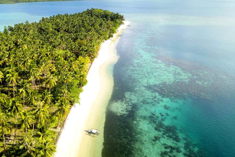 Une plage paradisiaque