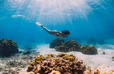 Port Barton Snorkelling Tour