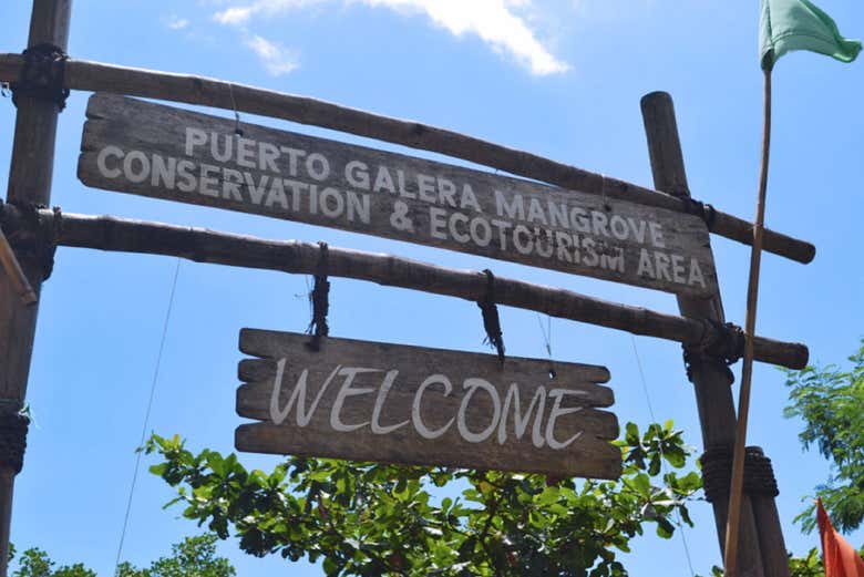 Puerto Galera Mangrove Conservation & Ecotourism Area