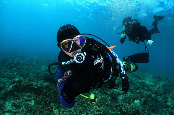 Beginners Scuba Diving in Santander