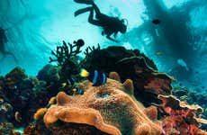 Scuba Diving in Santander