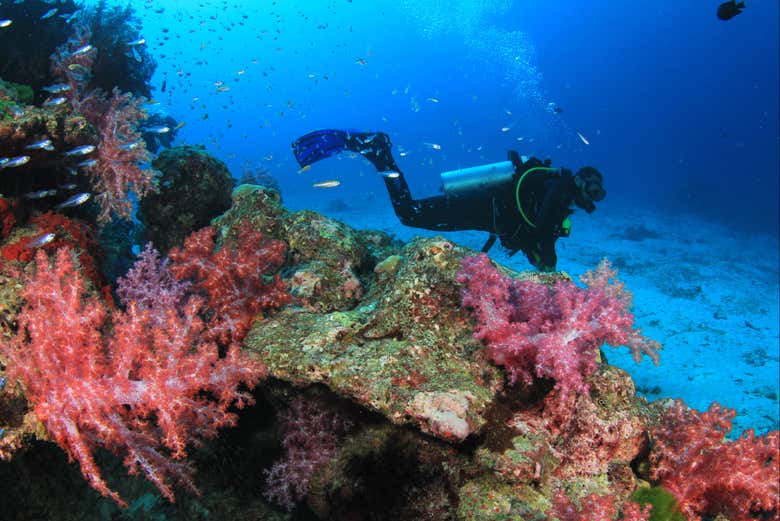 Enjoying the scuba diving trip