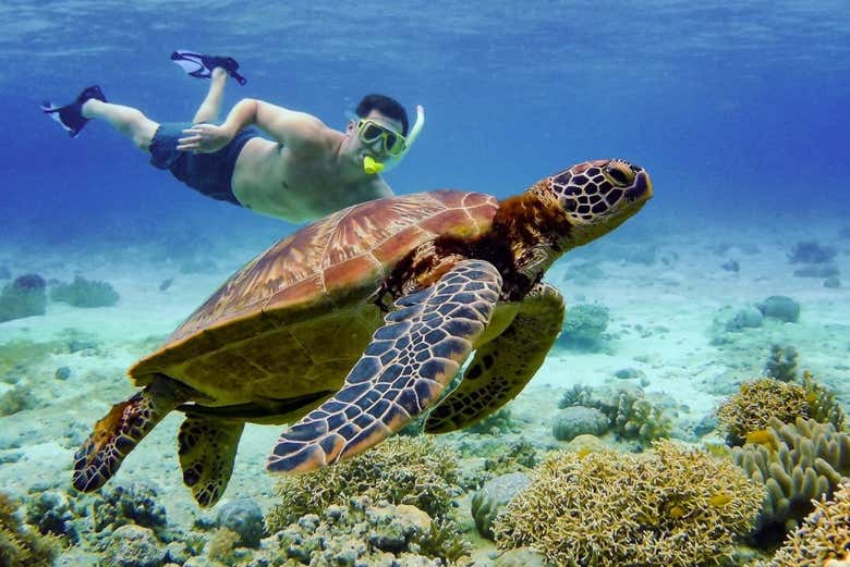 Descubriendo a los habitantes de estas aguas