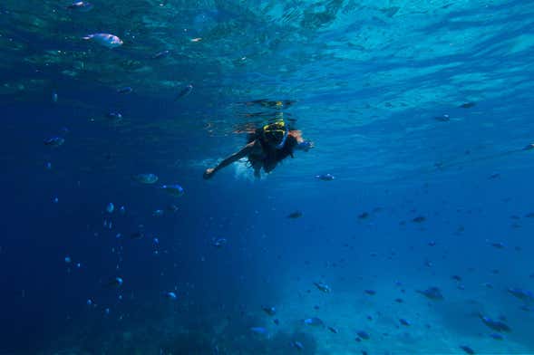 Snorkel en Santander