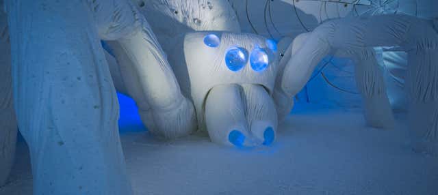 Excursion à SnowVillage