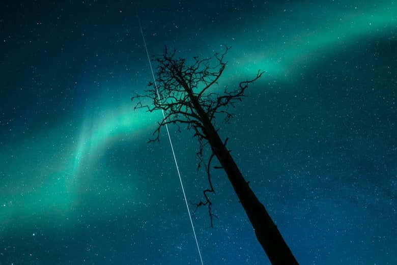 Em busca da aurora boreal em Äkäslompolo