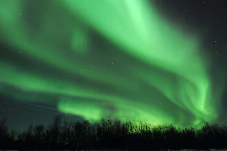 Desfrutando da aurora boreal