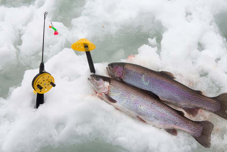 Pesca en el hielo