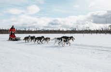 Balade en traîneau tiré par des chiens husky
