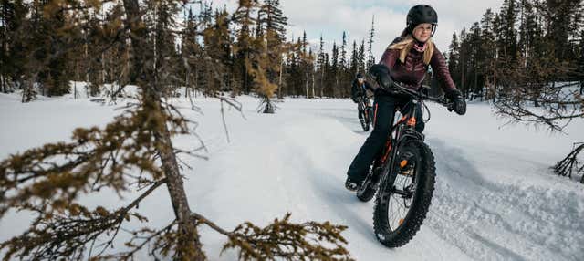 Pallas-Yllästunturi Electric Bike Tour