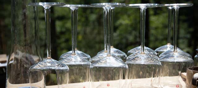 Wine in The Woods Experience