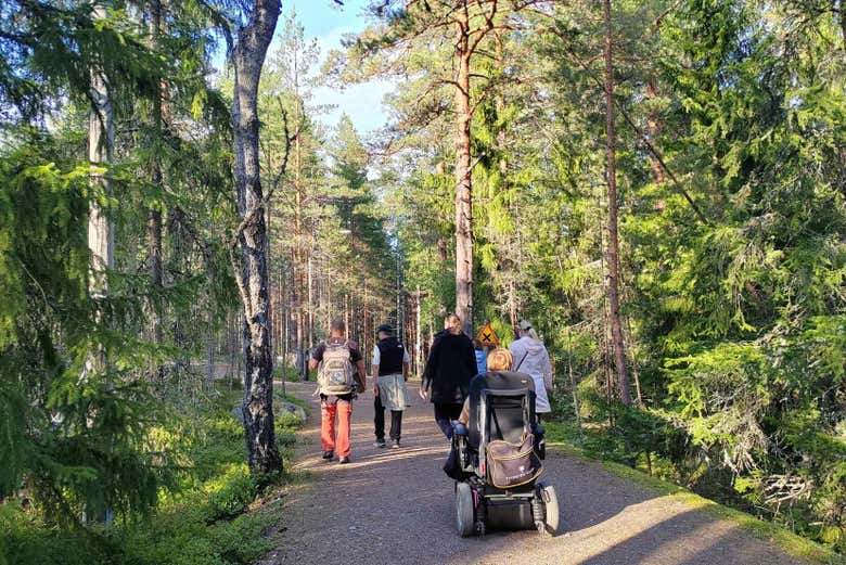 I sentieri del bosco di Espoo