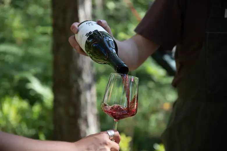 Durante la degustazione