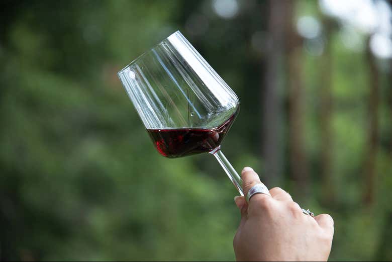 Indulge in a wine tasting in the middle of nature