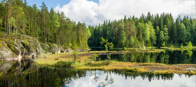 Excursion au Parc National Nuuksio