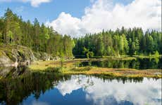 Nuuksio National Park Tour