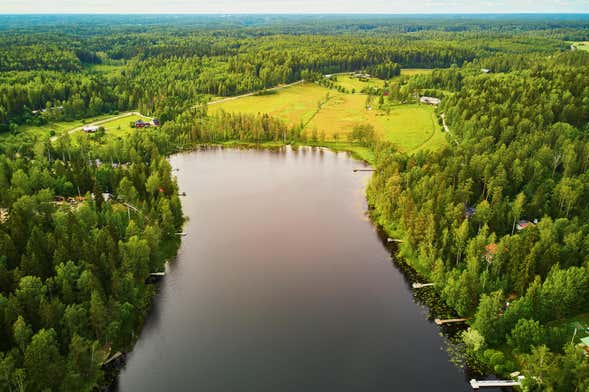 Excursión al Parque Nacional de Sipoonkorpi + Sauna finlandesa