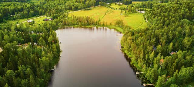 Sipoonkorpi National Park Excursion + Finnish Sauna