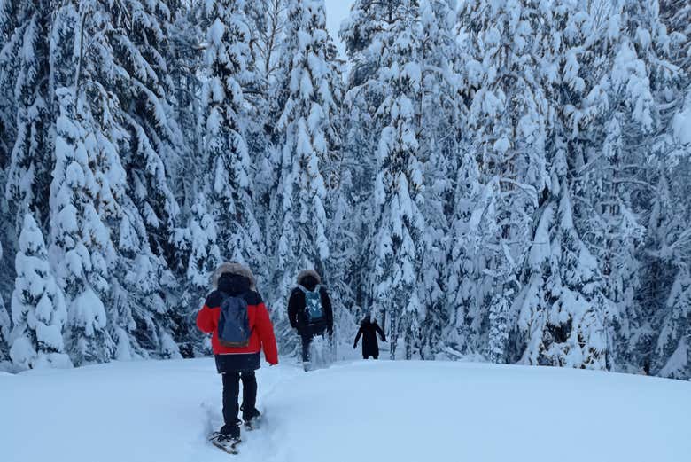 En hiver, vous pourrez faire une balade en raquettes