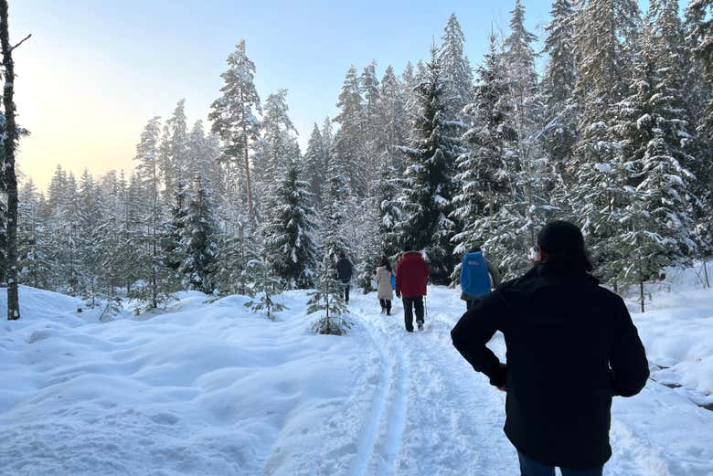 Sipoonkorpi national park in the winter